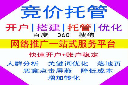 SEM运营推广策略案例分析